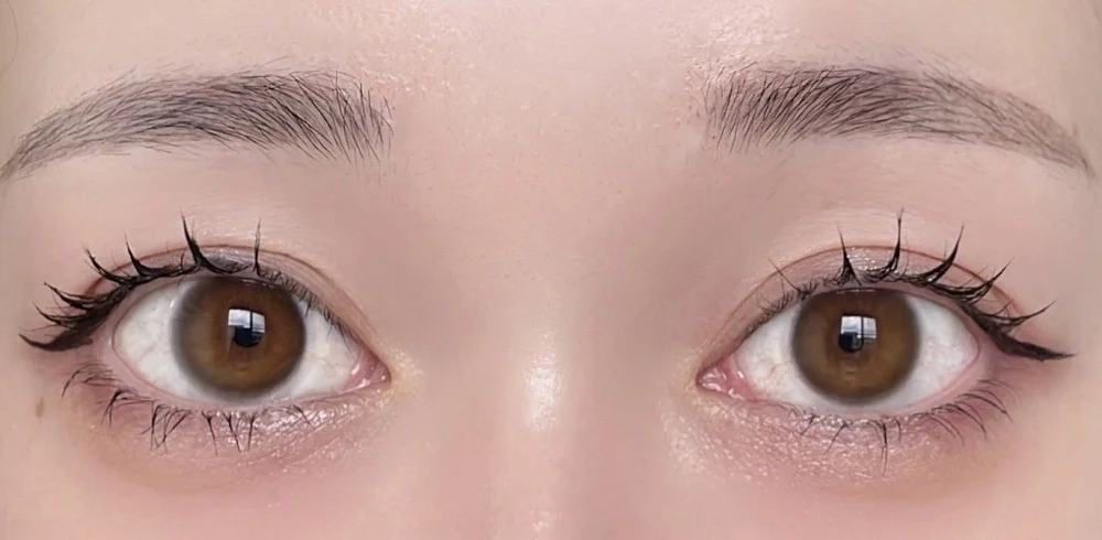 ReVIA COLOR 1day メルティベア