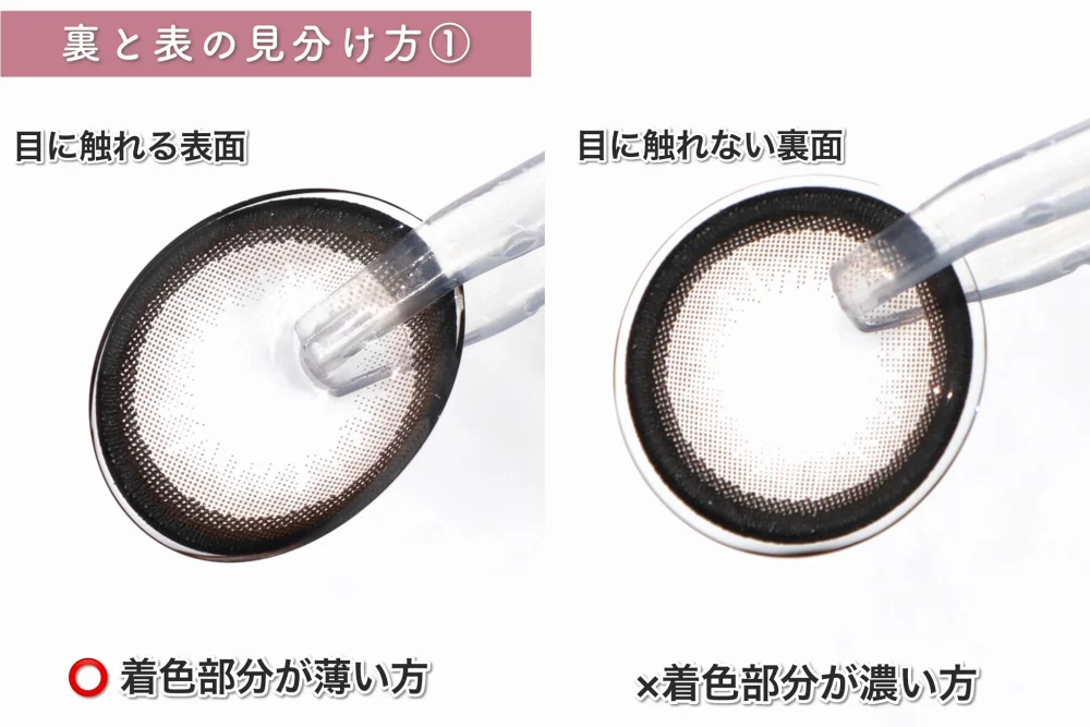 裏と表の見分け方①