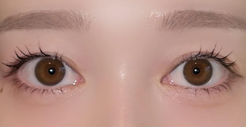 ReVIA MULTIFOCAL 1day COLOR /メルティベア