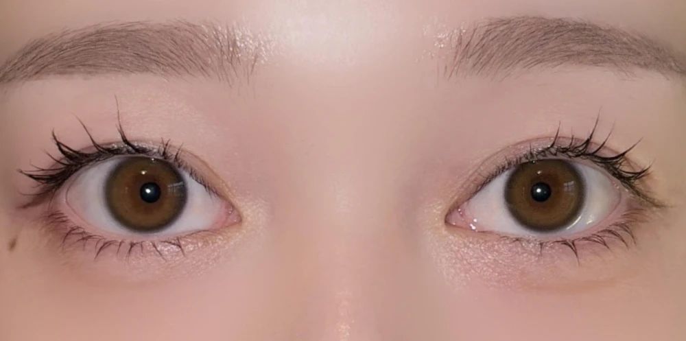 ReVIA MULTIFOCAL 1day COLOR /ステイミー