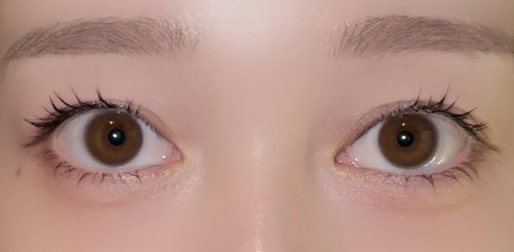 ReVIA MULTIFOCAL 1day CIRCLE/ムースブラウン