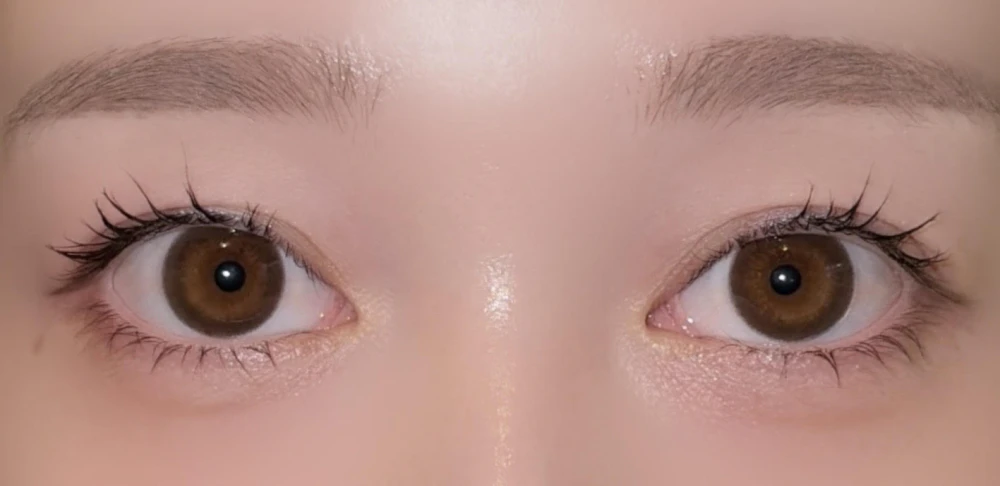 ReVIA MULTIFOCAL 1day CIRCLE/ブラウン
