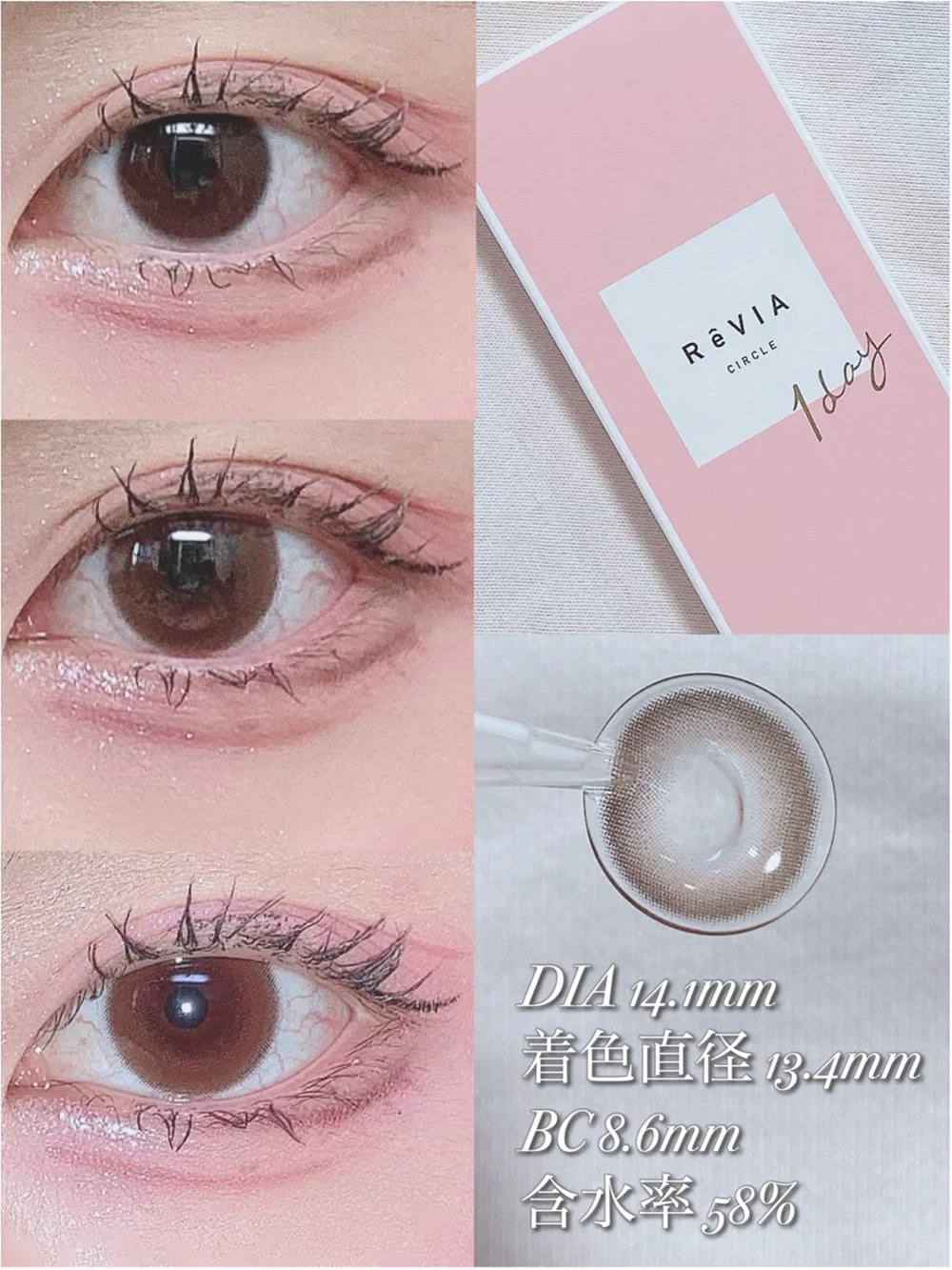 ReVIA 1day CIRCLE SHY BROWN - シャイブラウン