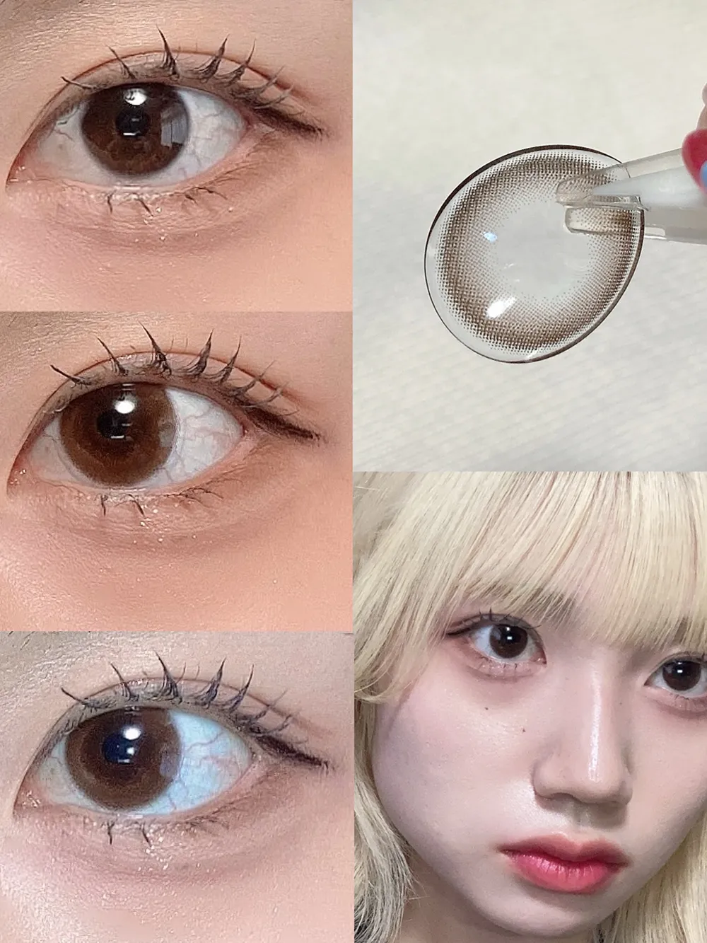 ReVIA 1day CIRCLE シャイブラウン