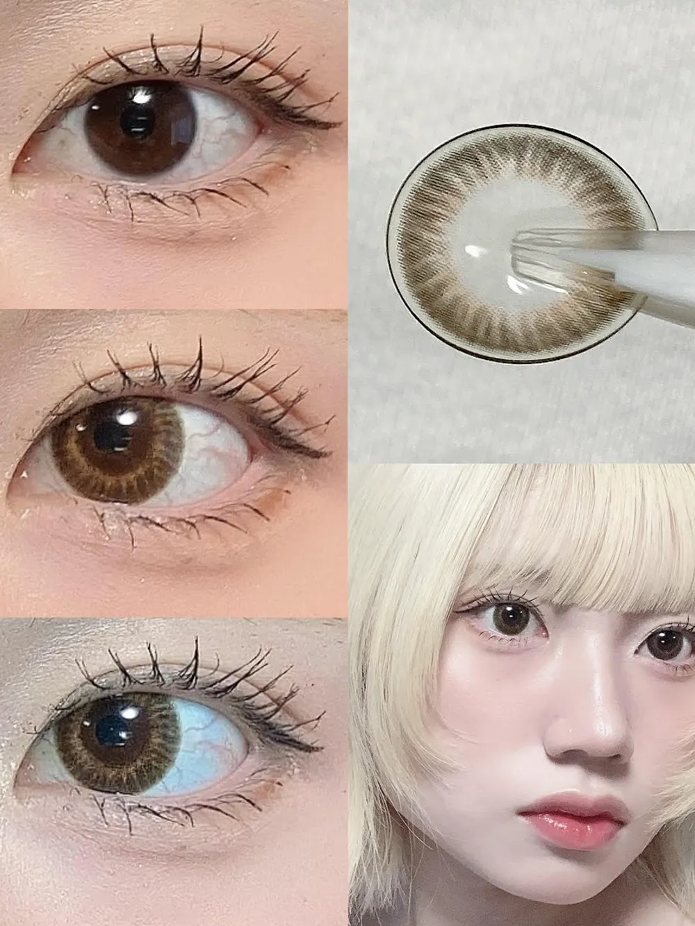 candymagic 1day （キャンディーマジックワンデー） GLASS BROWN グラスブラウン