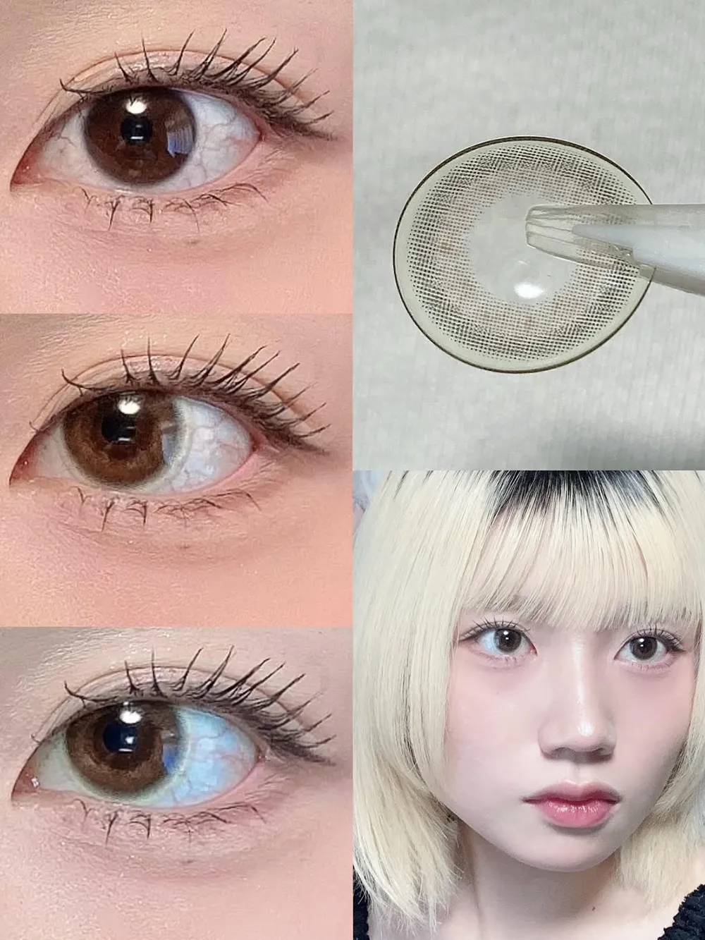 Purity CIRCLE 1day（ピュアリティサークル ワンデー）MORE BROWN（モアブラウン）