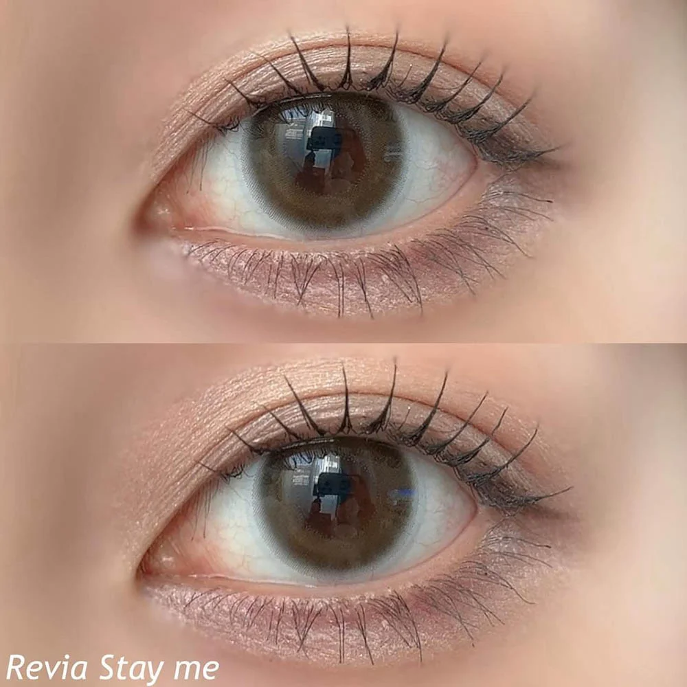ReVIA 1day ステイミー