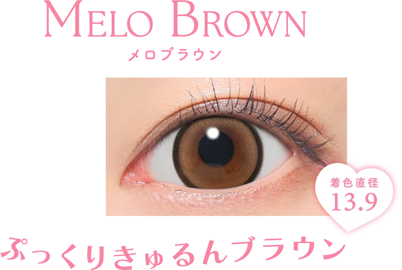 ぷっくりきゅるんブラウン