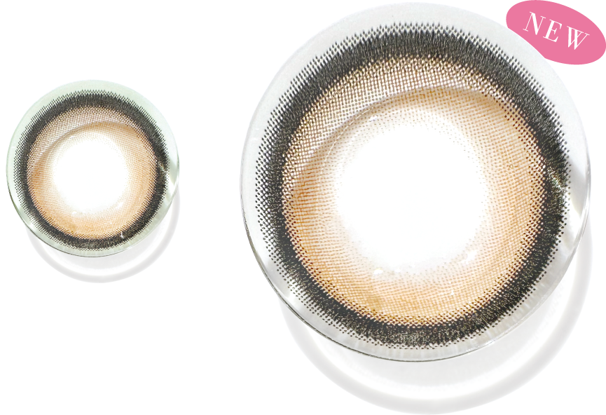 リニューアルイメージ