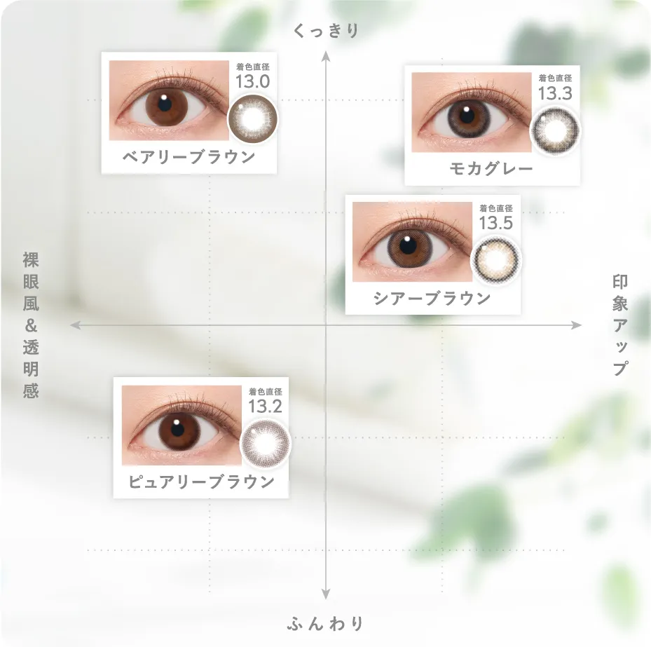 カラーチャート