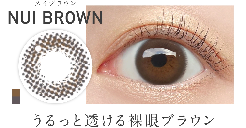 新色 ヌイブラウン