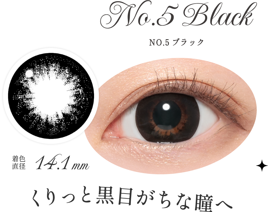 NO.5ブラック くりっと黒目がちな瞳へ