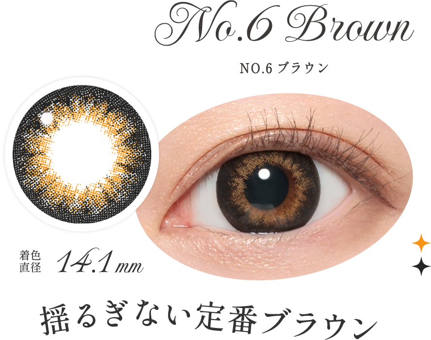 NO.6ブラウン 揺るぎない定番ブラウン