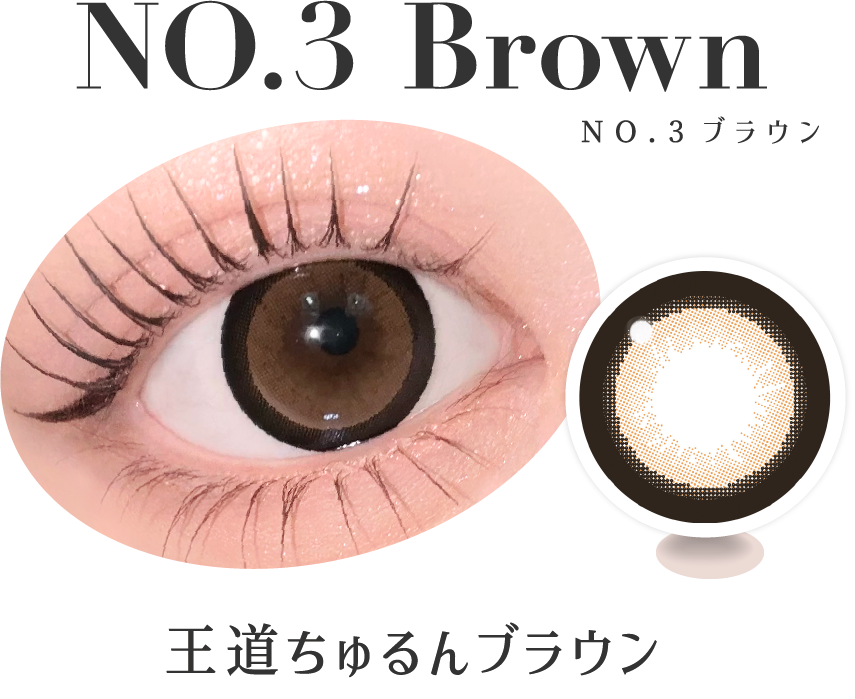 NO.3ブラウン 王道ちゅるんブラウン