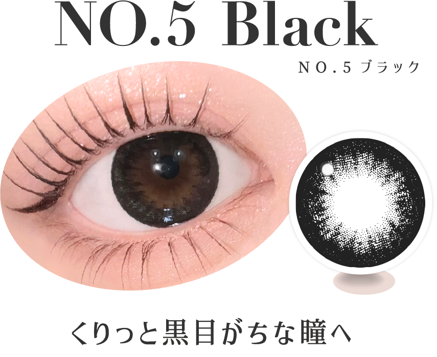 NO.5ブラック くりっと黒目がちな瞳へ