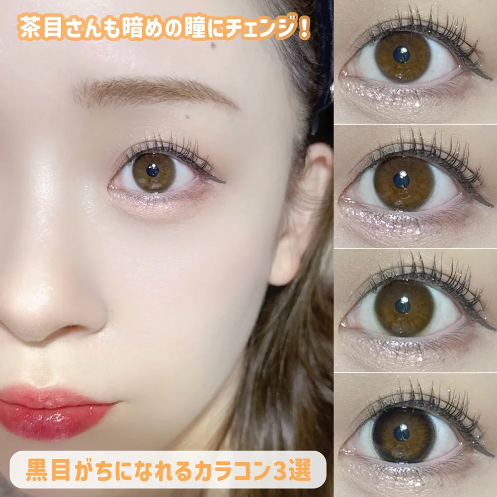 活動歴および当時の関連ビジュアル記録