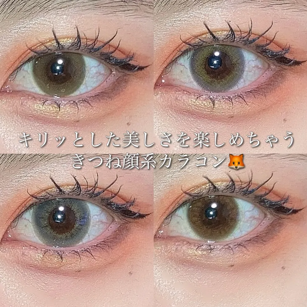 キツネ 顔