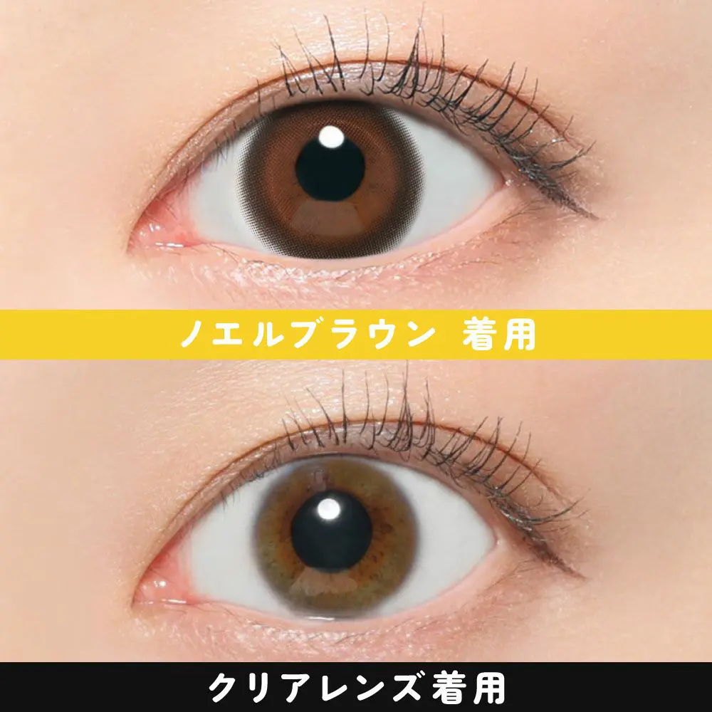 FruFru 1day ノエルブラウン 1箱10枚入り 度あり 度なし フルフル