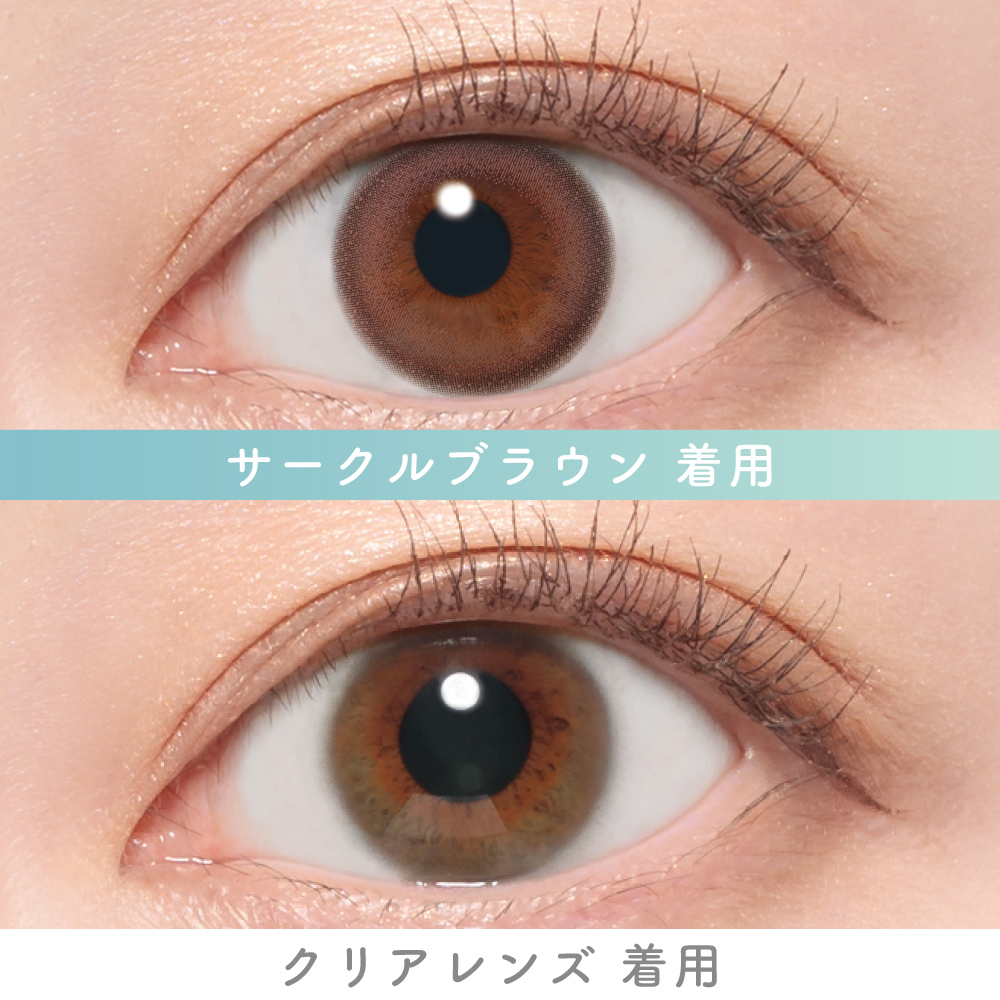 Purity CIRCLE 1day サークルブラウン 10枚入り ピュアリティ カラコン